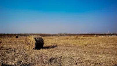 Casholot Kasino Apl Mudah Alih